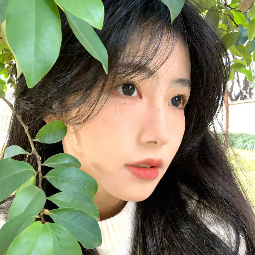 爱芯第一季